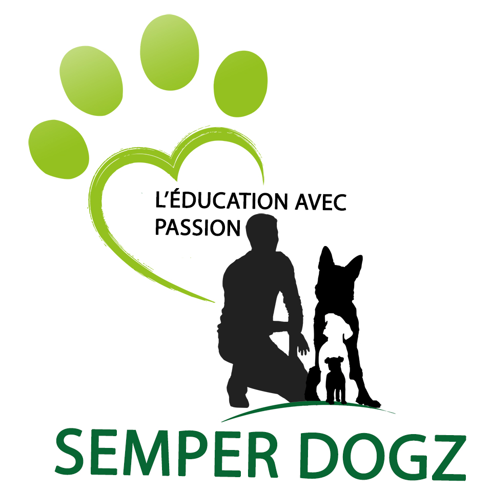 Amas schenone avocat
