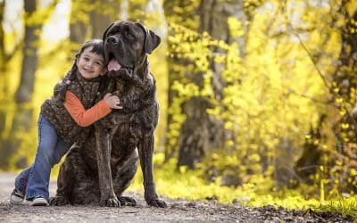 La relation enfant / chien