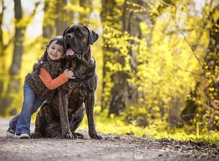 La relation enfant / chien